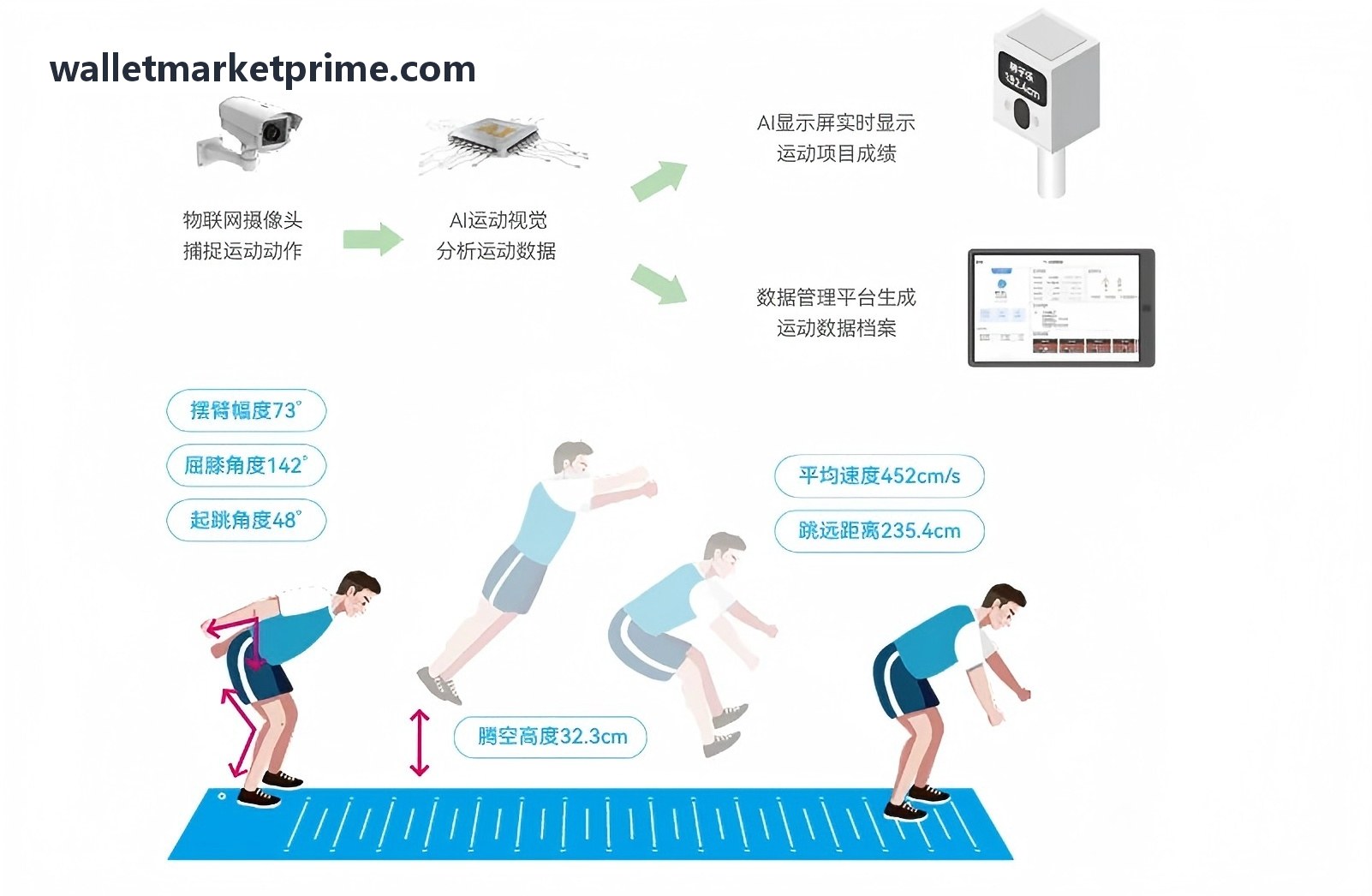 模块化区块链底层协议适配