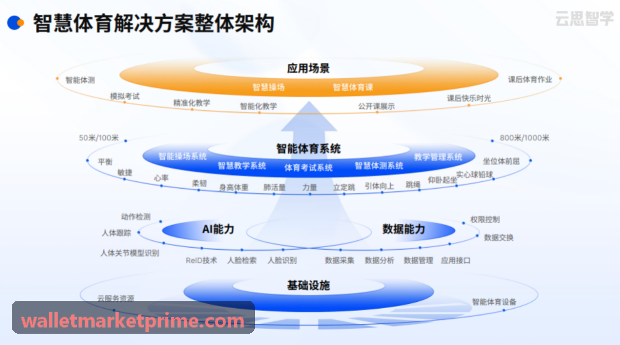 Trust Wallet多链聚合技术拓扑展示